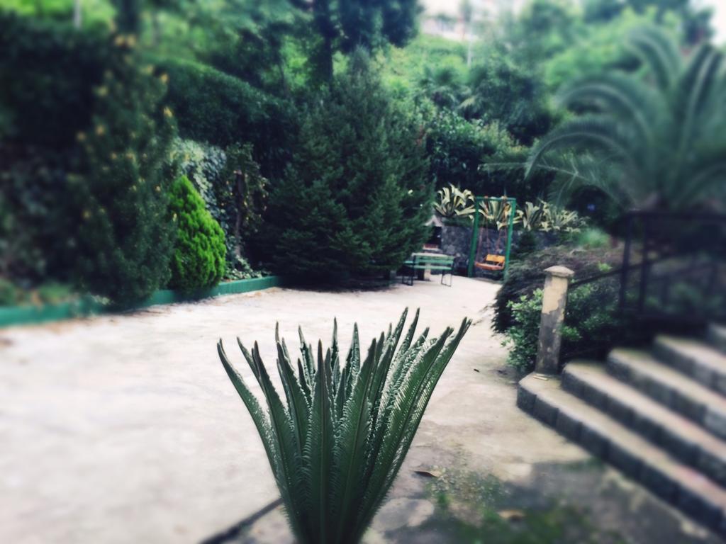 מלון מצוונה קונצחי Holiday House Green Cape Batumi מראה חיצוני תמונה