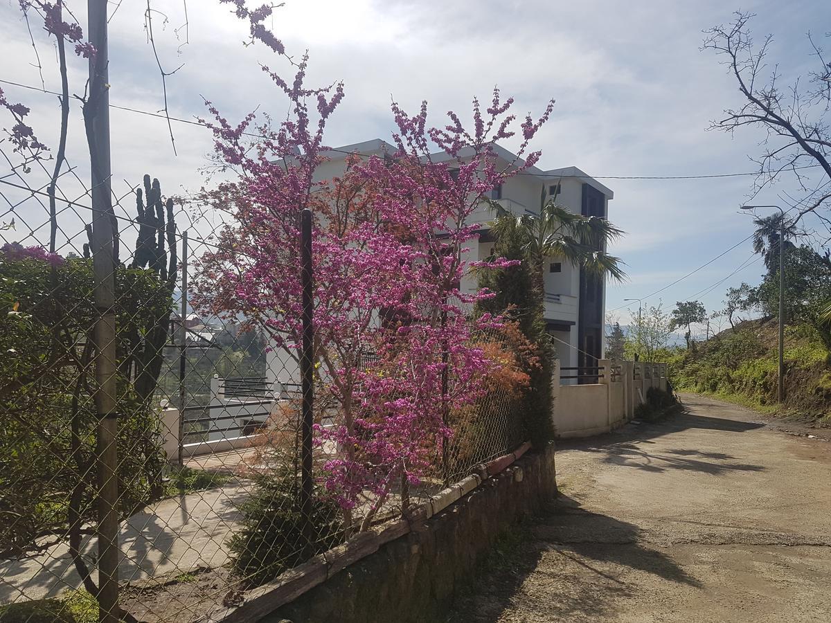 מלון מצוונה קונצחי Holiday House Green Cape Batumi מראה חיצוני תמונה