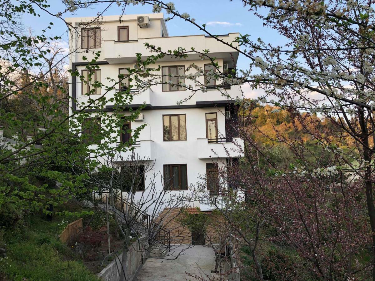 מלון מצוונה קונצחי Holiday House Green Cape Batumi מראה חיצוני תמונה