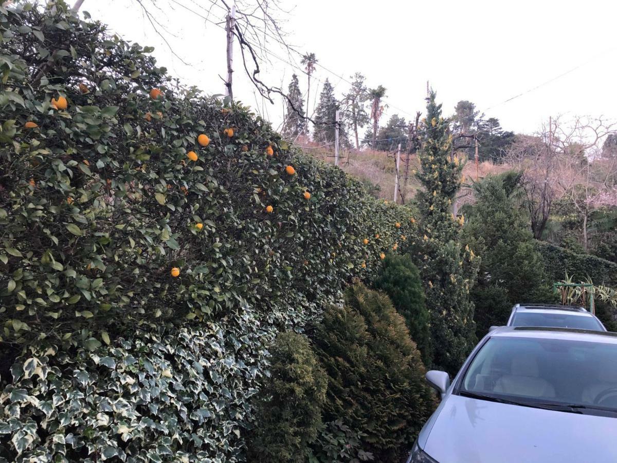 מלון מצוונה קונצחי Holiday House Green Cape Batumi מראה חיצוני תמונה